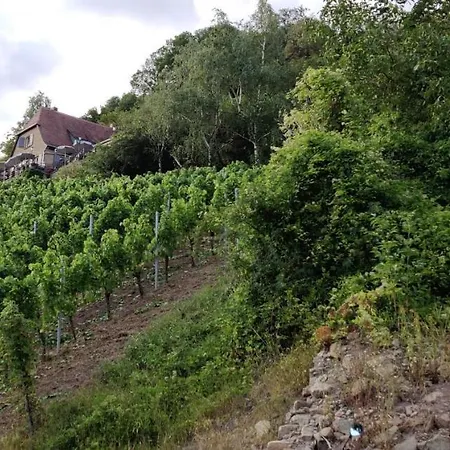 Am Hollergraben Apartment Oberschwarzach