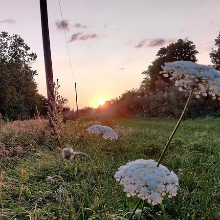 Am Hollergraben Διαμέρισμα