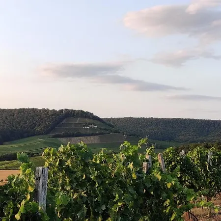 Διαμέρισμα Am Hollergraben Oberschwarzach