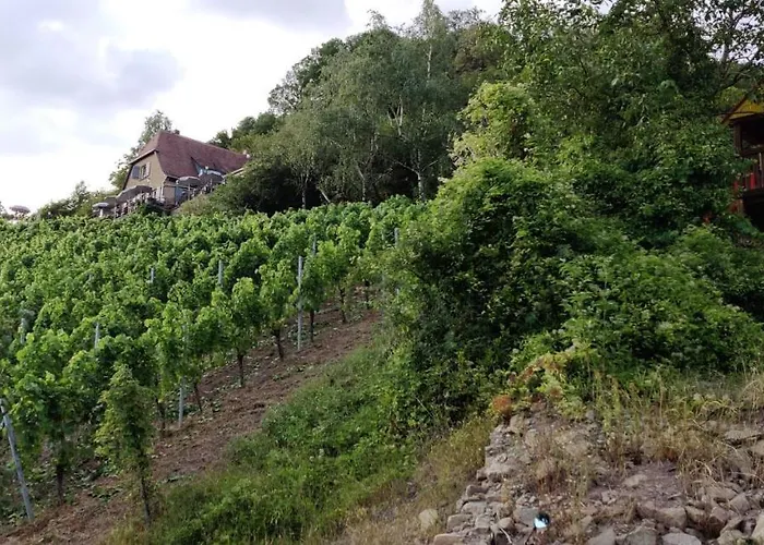 Am Hollergraben Apartamento Oberschwarzach
